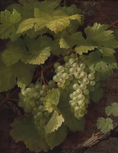 Green grapes