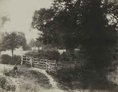 Green Meadows