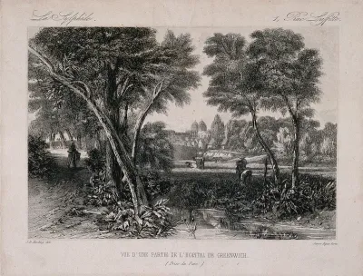 Greenwich, with trees in the foreground, London in the distance