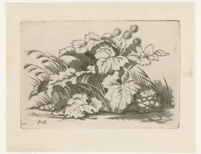 Groep bermplanten