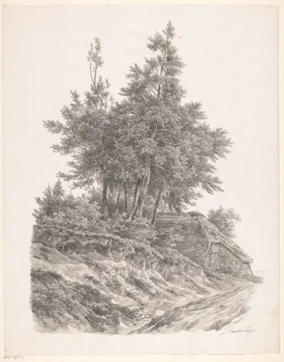 Groep bomen bij boerderij