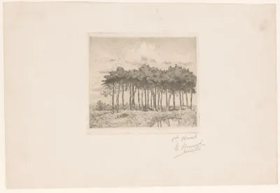 Groep bomen bij een waterplas