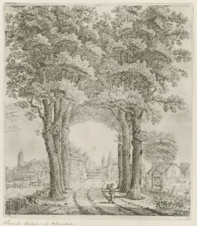 Groep bomen bij Oudewater