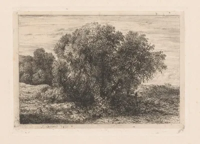 Groep bomen met een figuur
