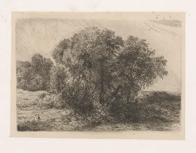 Groep bomen met een figuur