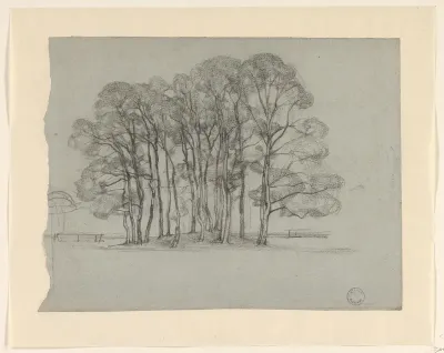 Groep bomen op een lage heuvel