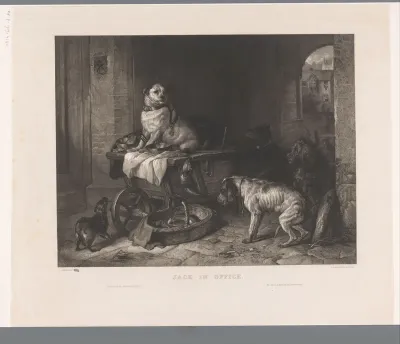 Groep honden in een steeg