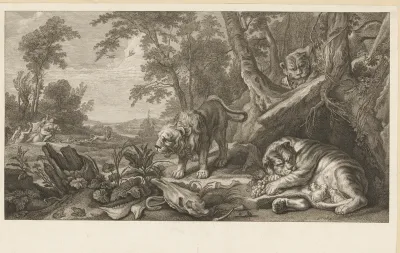 Groep leeuwen en een leeuwenjacht
