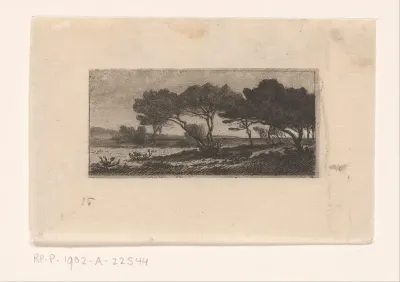 Groep pijnbomen aan de kust bij Hyères