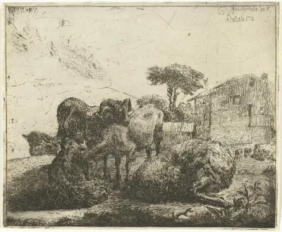 Groep van vijf schapen
