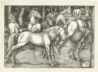 Groep van zes vechtende paarden