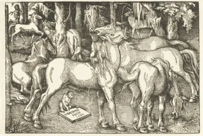 Groep van zeven paarden en een aap