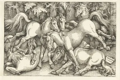 Groep van zeven vechtende paarden