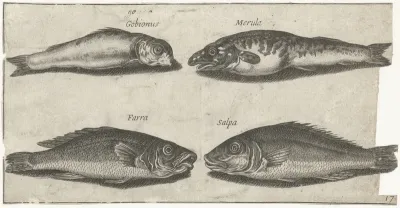 Grondel, bokvis, wijting en een andere vis