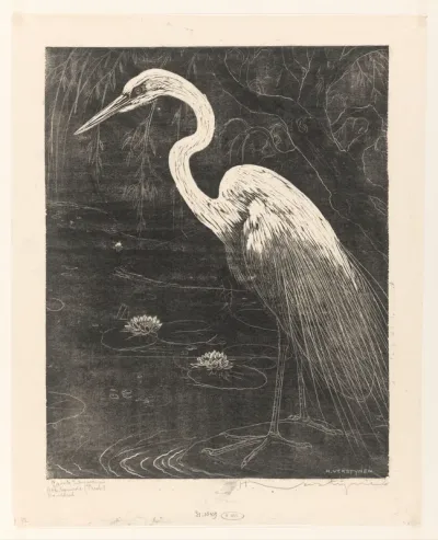 Groote zilverreiger