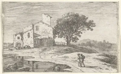 Grote boom naast een huis