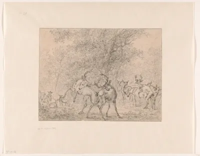 Group of Deer in a Forest