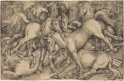 Group of Seven Horses in Woods