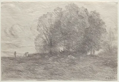 Group of Trees