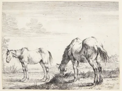 Græssende hest