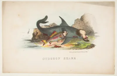 Gudgeon and Shark, from "The Comic Natural History of the Human Race"