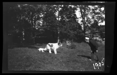 Guido Simberg leikkii Balun ja Sarton kanssa pihalla