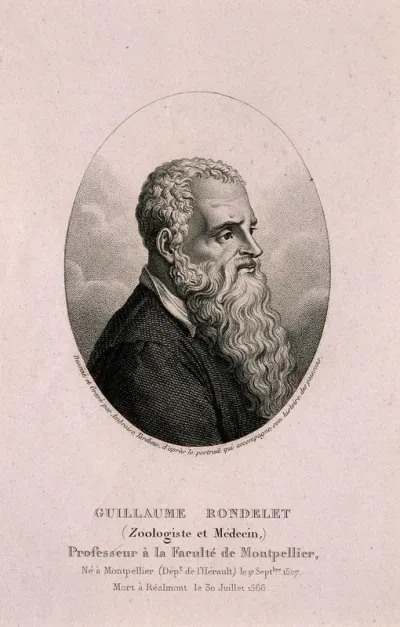 Guillaume Rondelet [Rondeletius]