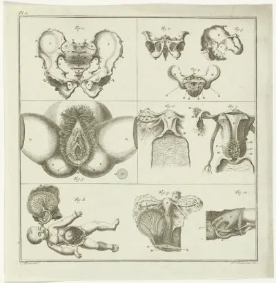 Gynaecologische voorstellingen