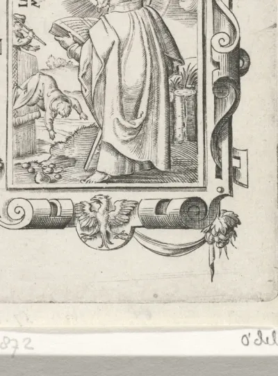 H. Jacobus minor