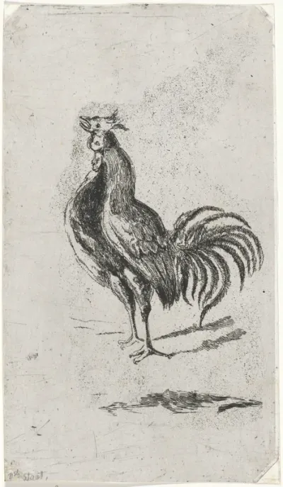 Haan