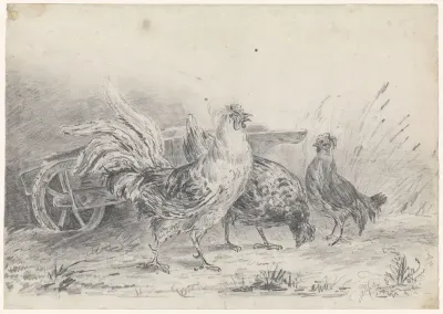 Haan met twee kippen bij een kruiwagen