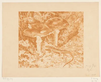Hagedis bij twee paddenstoelen