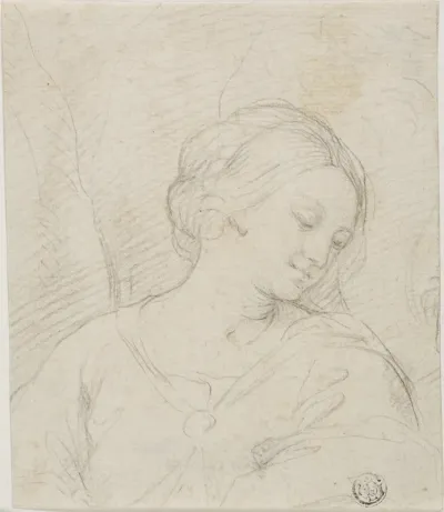 Half-Length View of Madonna