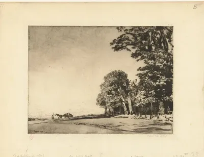 Hampstead Heath