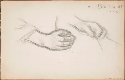 Hands of a Woman