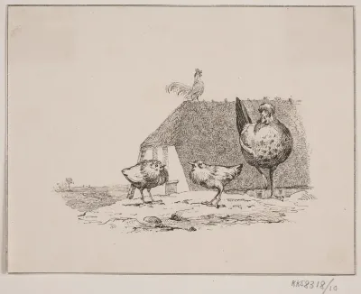 Hanekyllingerne