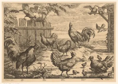 Hanen, kippen en duiven in een landschap