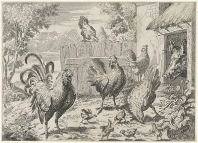 Hanen, kippen, kuikens en een wild zwijn