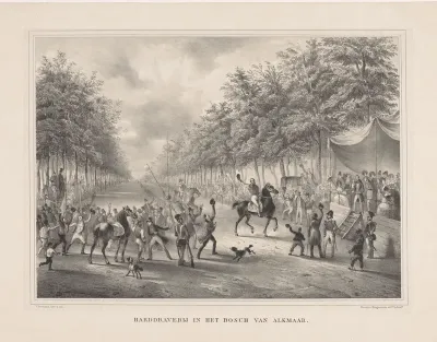Harddraverij in het bos van Alkmaar