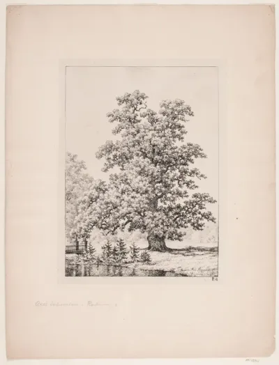 Hardenberg egen