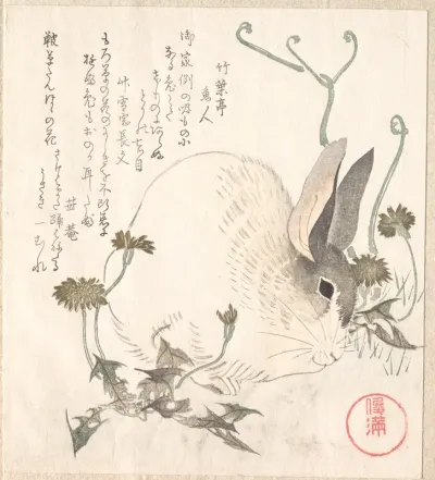 Hare and Dandelion?