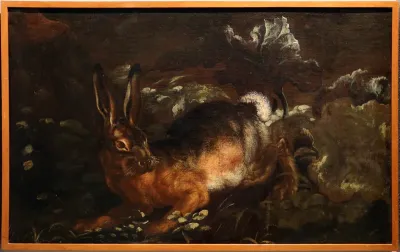 Hare