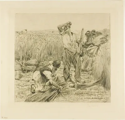 Harvest