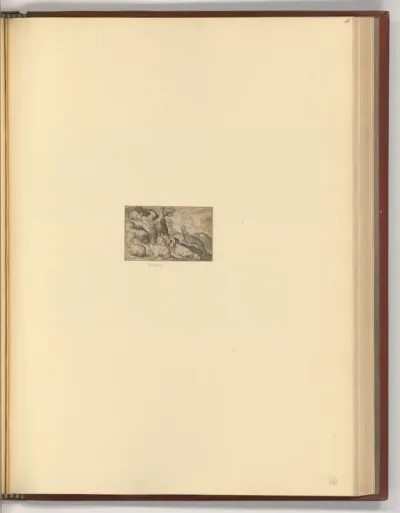 Hasen, Mäuse, Eichhörnchen und Meerschwein