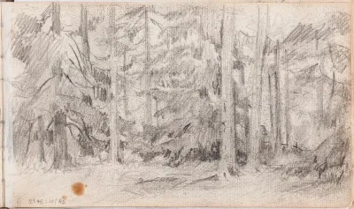 havumetsää, merkitty kesk. alh.: Paris(?) d. 25 novemb 69.