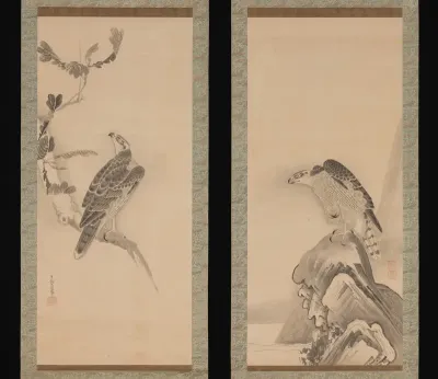 Hawks