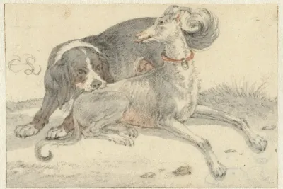 Hazewindhond en een spaniël