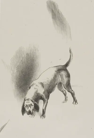 He [The Narrator's Dog] Kept His Eyes Fixed on Me With a Look So Strange, plate 3 of 6
