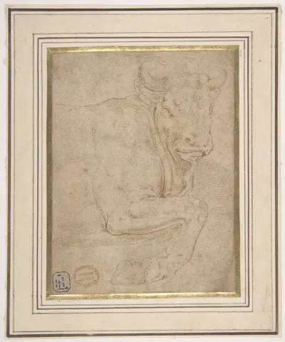 Head and Front Quarters of a Bull