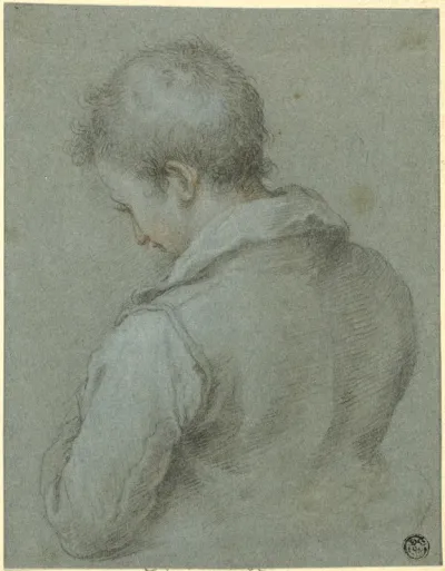 Head and Shoulders of a Man seen from the Back